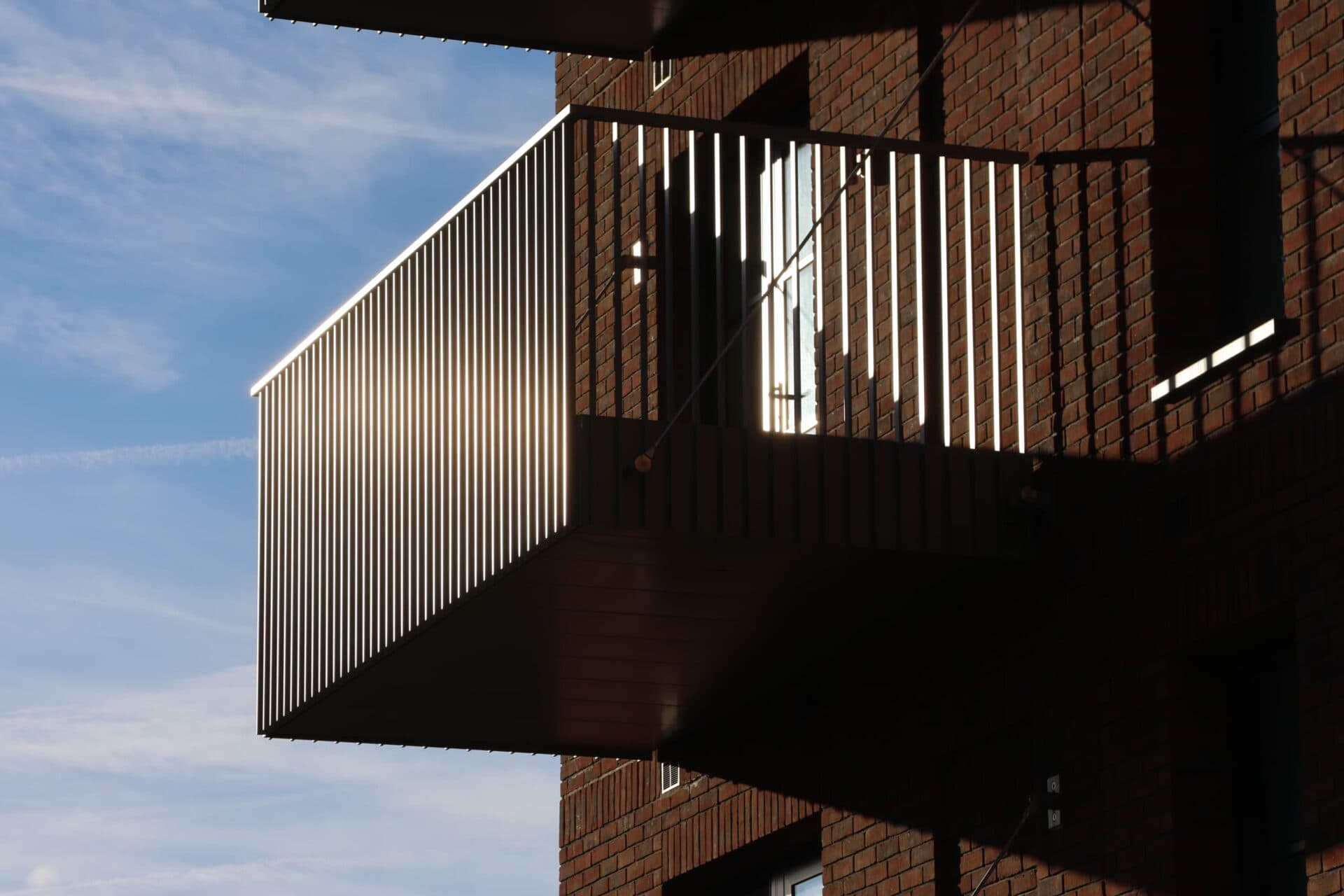 IMG_6210-1-e1738149818276