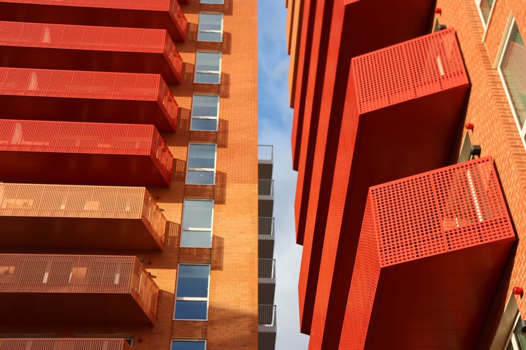 IMG_7482_e02uhq-e1740413234865