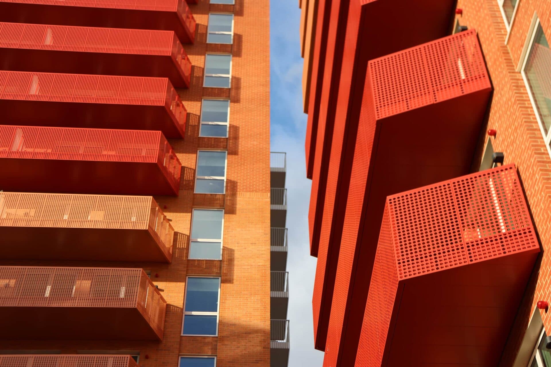 IMG_7482_e02uhq-e1740413234865