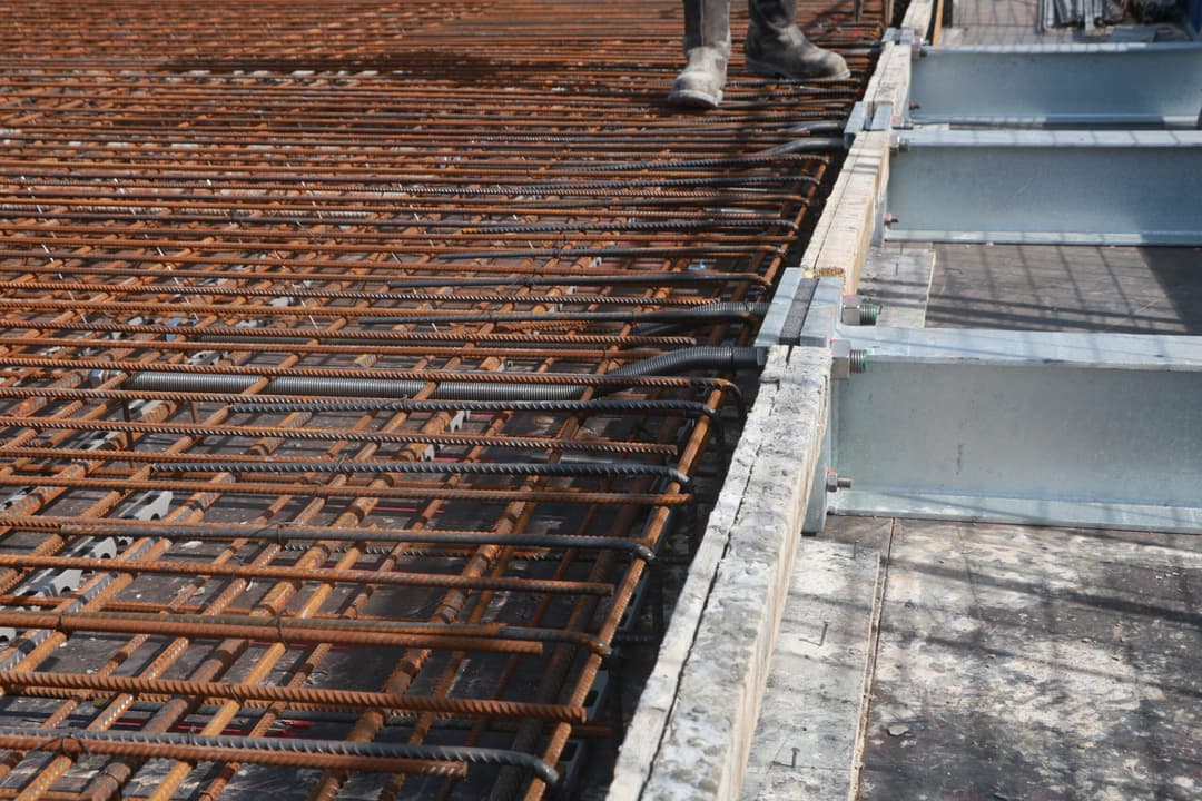 IMG_3463_dzied6-scaled IMG_3463_dzied6-scaled