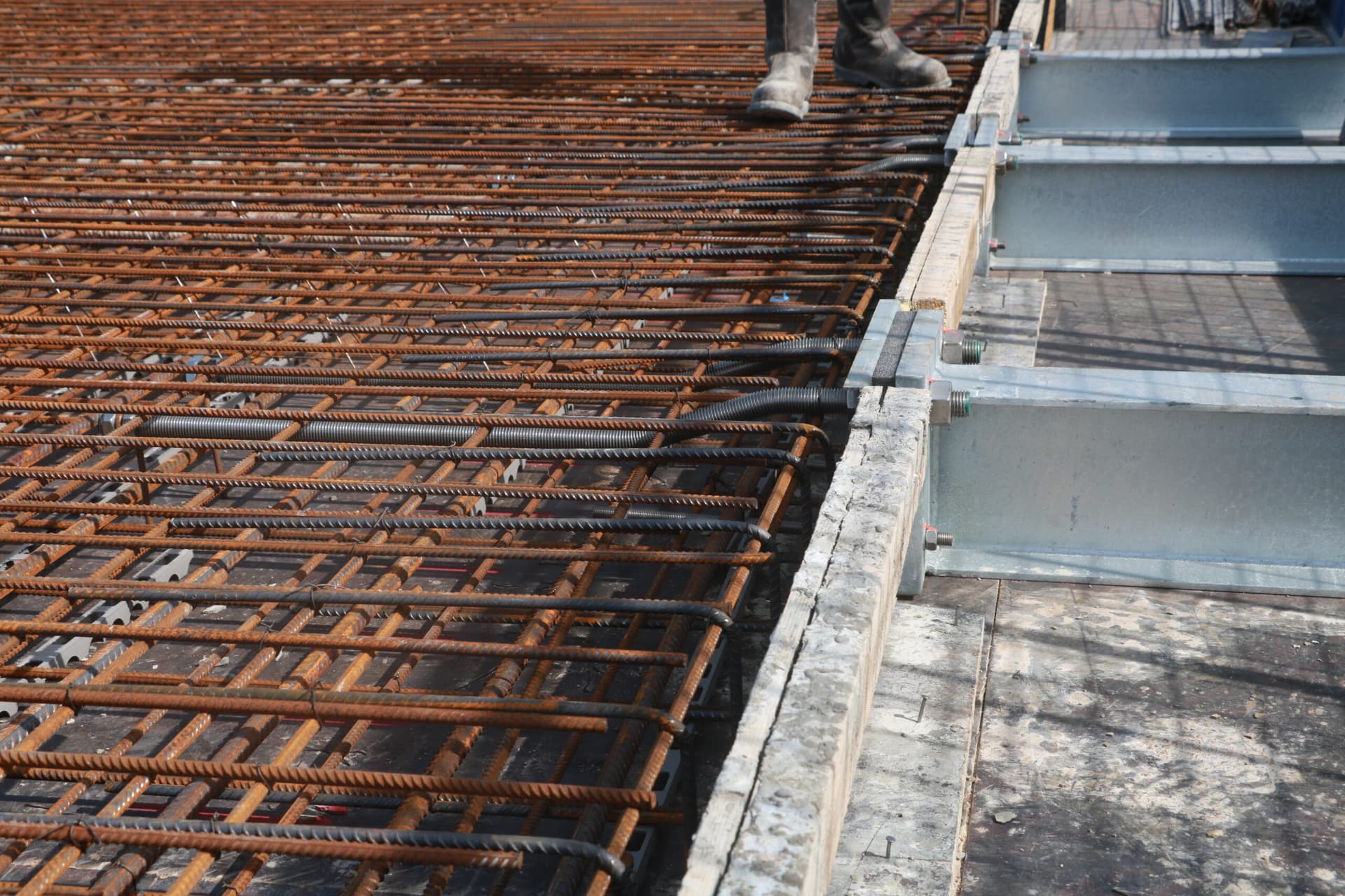 IMG_3463_dzied6-scaled IMG_3463_dzied6-scaled