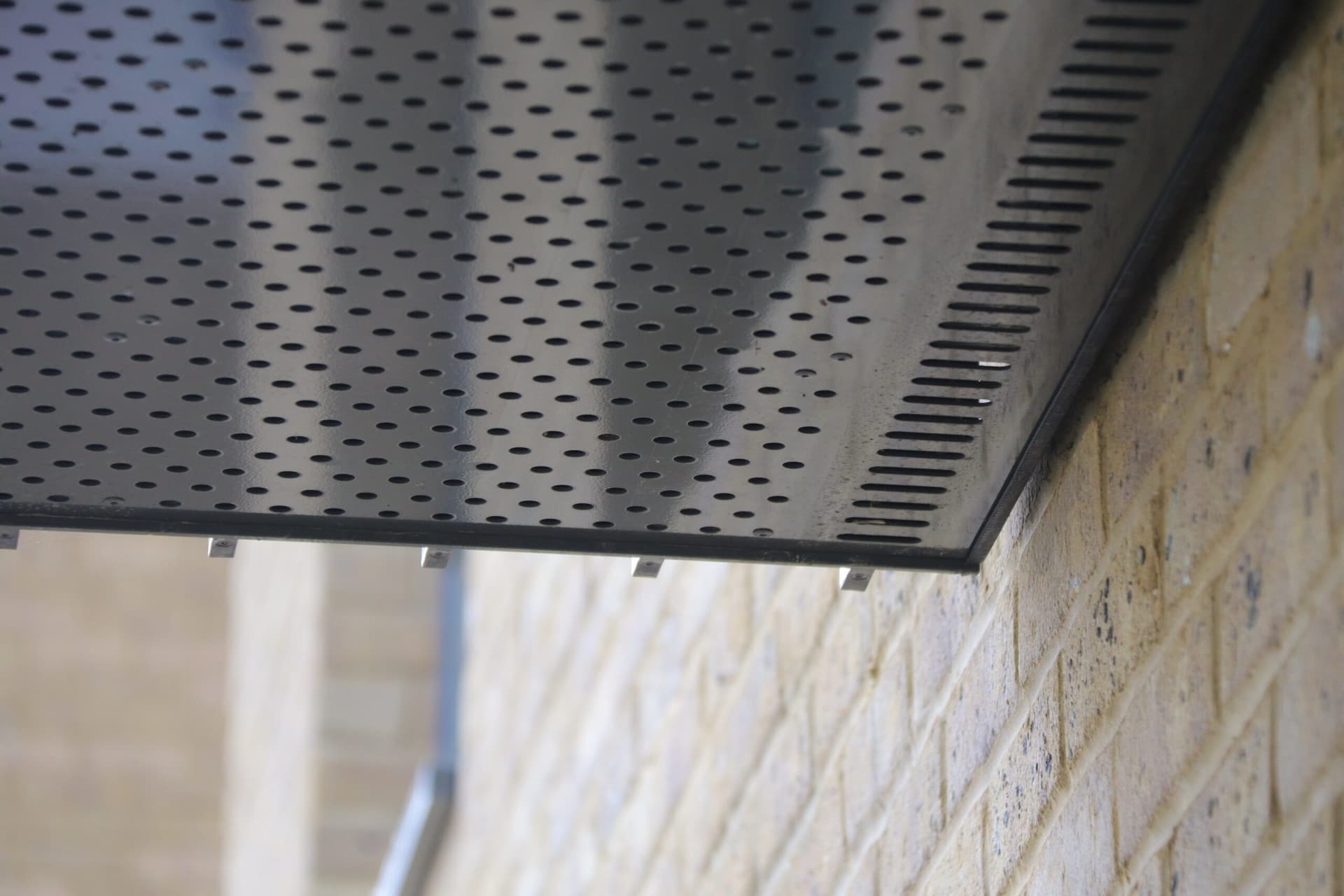 IMG_0878_qtw5nr IMG_0878_qtw5nr